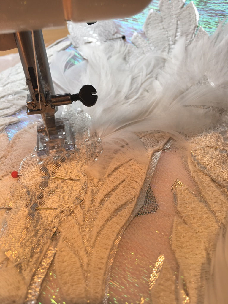 Making for Swan Lake