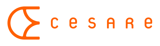 Logo CESARE.png