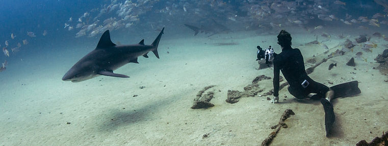 Freediving Cabo Pulmo