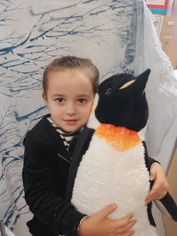 FB_IMG_1770633065797