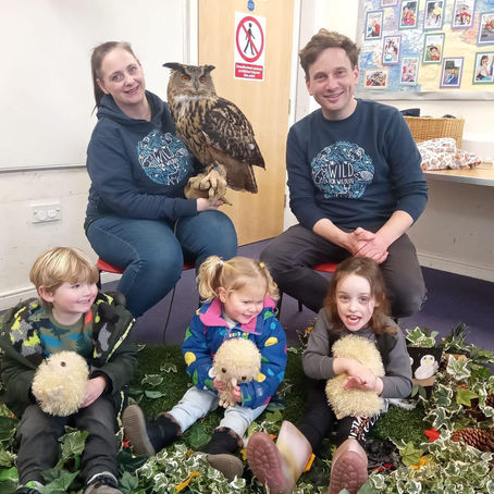 Hoglets came to visit!