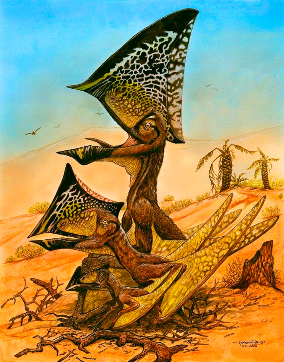 ARK: Survival Evolved Pteranodon Pterosaurs Niobrara Formação Fóssil,  preço, pterossauros, arca Survival Evolved png | PNGEgg, image size:970x1237