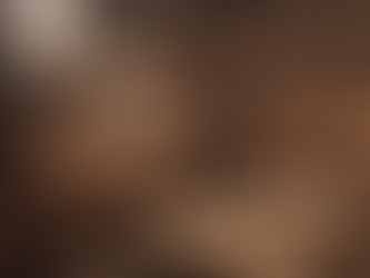 Unveiling the Timeless Artistry of Woodshops