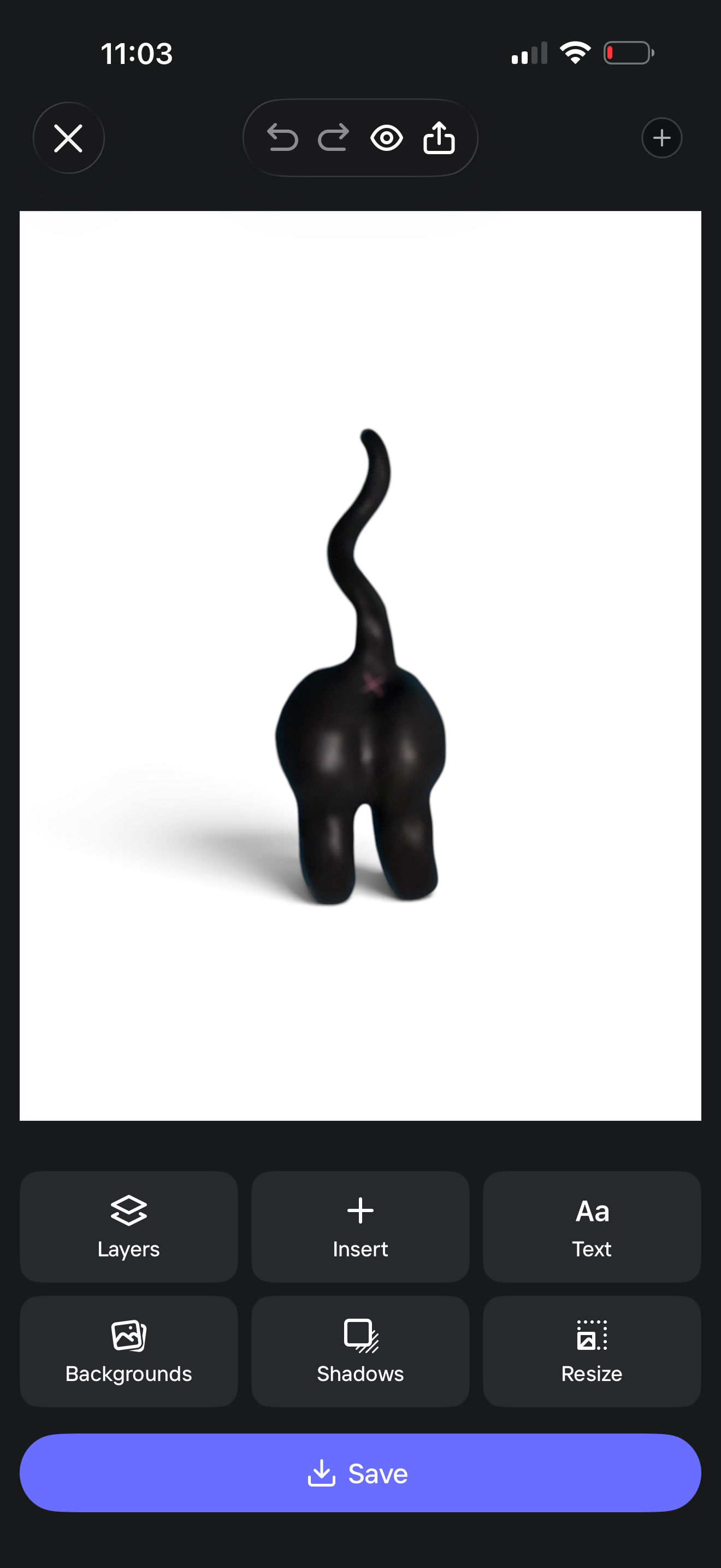 Cat Butt Magnet