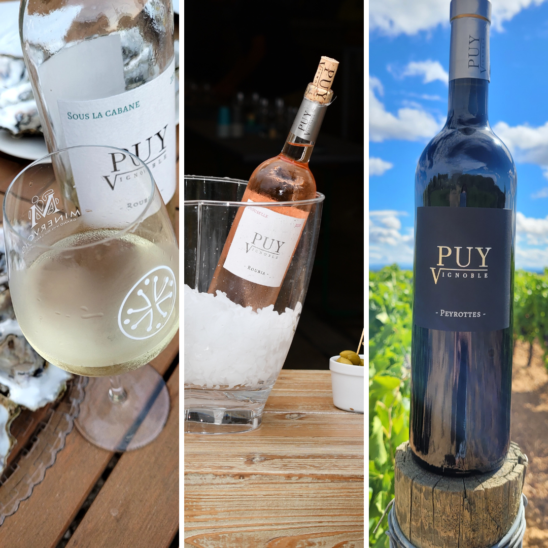 Carton "Decouverte" - blanc, rosé et rouge