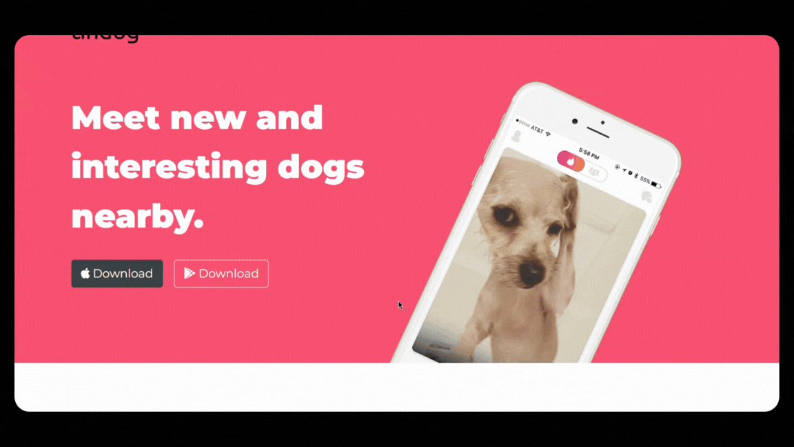 TinDog Website Gif.gif
