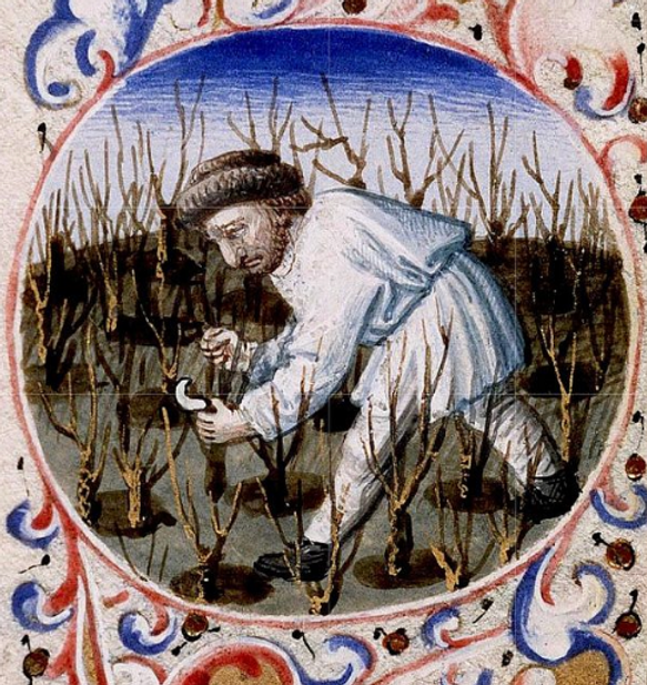 Why We Prune Why We Prune