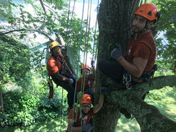 Climbers