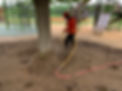 soil-remediation.jpg