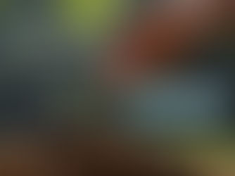 Portafolio Fibrero Jubilación 5K - Mes 20 - Cierre Anual