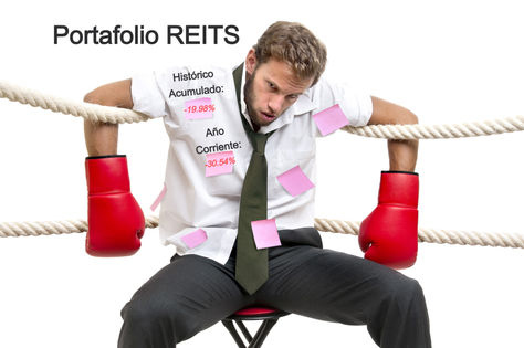 Portafolio REITS: Mes 20 - Cierre Anual, La Estrategia más golpeada