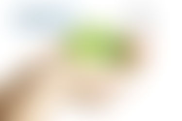 Mes 17: El Swenmex - Cierre Anual, Cumplió su Propósito