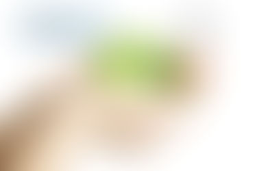 Resultados Mes 15: El Swenmex - Reflejo de los Mercados Globales