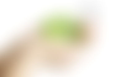 Resultados Mes 12: El Swenmex - Adiós ganancia histórica