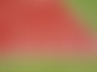 Los Portafolios del 2022