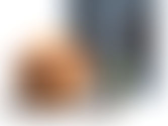 Radiografía de Rentabilidad: Portafolio Fibrero Jubilación 5K - 1er Trimestre