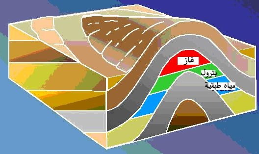 مصيدة تركيبية نفطية داخل طية محدبة .