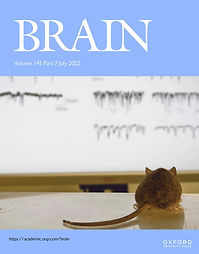 m_brainj_145_7cover.jpeg