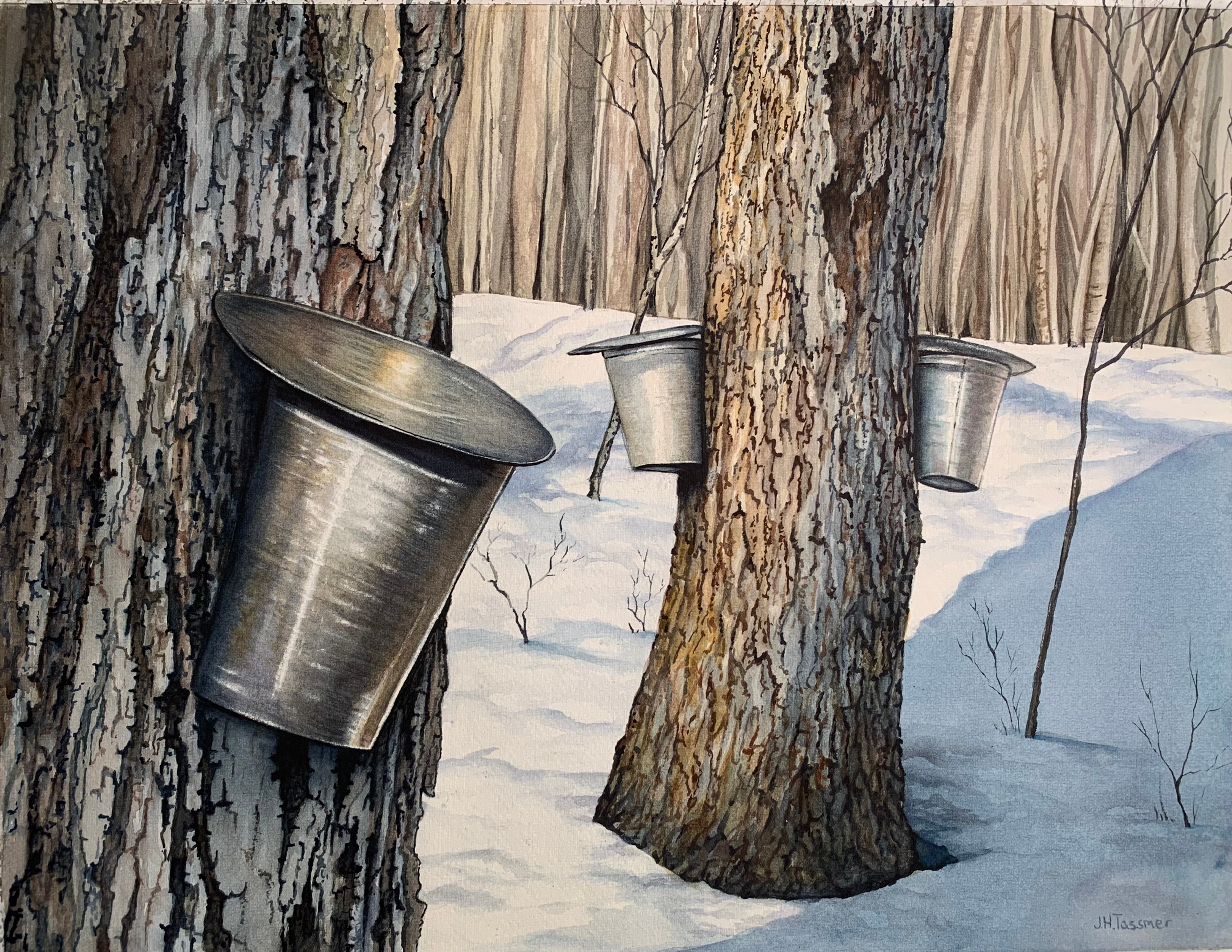 Maple Sugaring - Sold