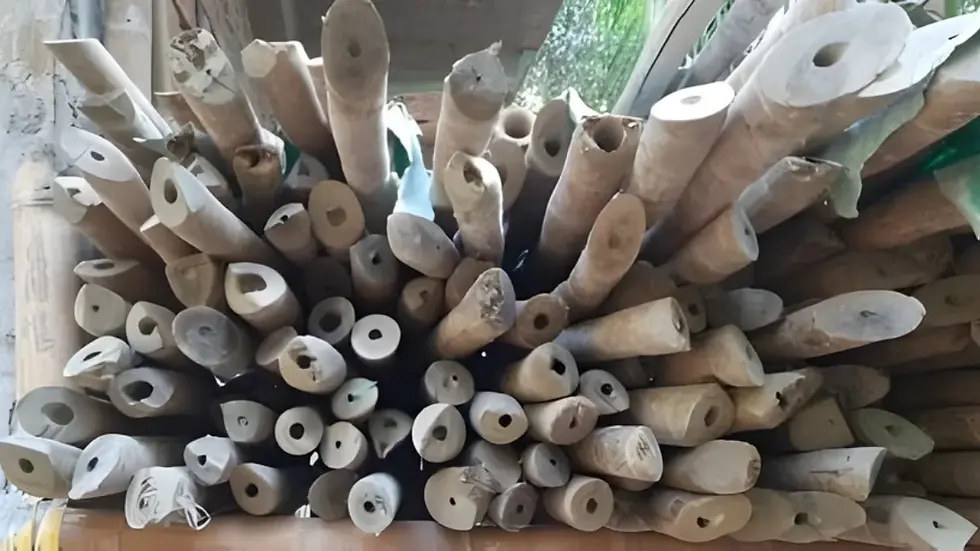 Treated bamboo poles
