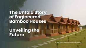 Unveiling the Future: The Untold Story of Engineered Bamboo Houses