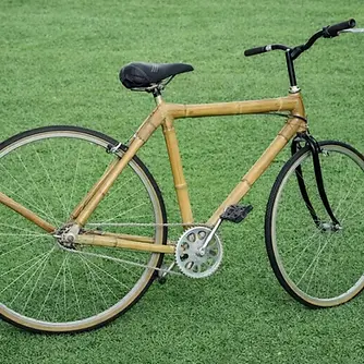 Bamboo Cycle