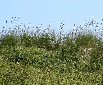 1000 x 1000 px (15).webp