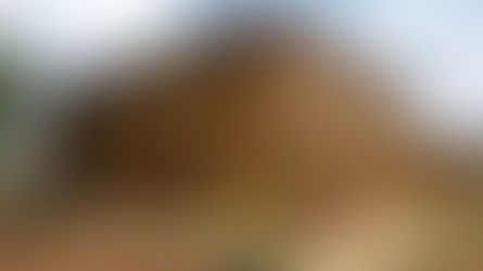 Engineered Bamboo Housing: Field Observations