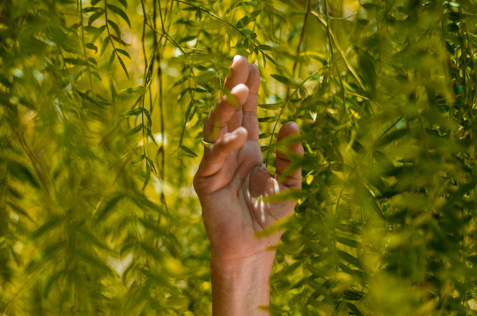 hand touching a tree