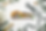 6FFEF6E6-2872-46D2-B531-62681A5398CB.PNG