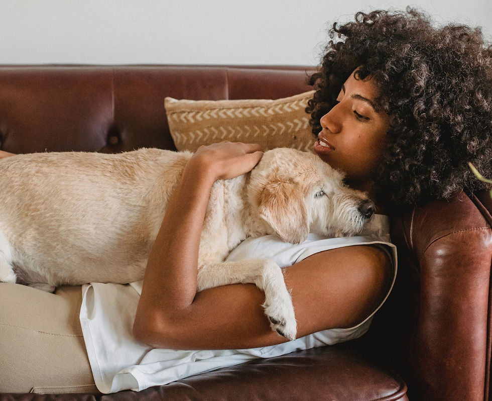 a dog sleeping on a person