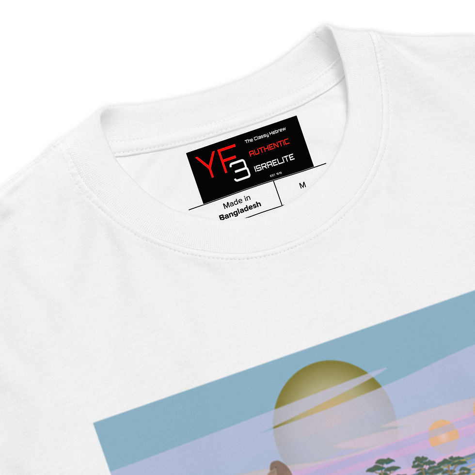 Thumbnail: YF3 The Classy Hebrew Men’s premium heavyweight tee