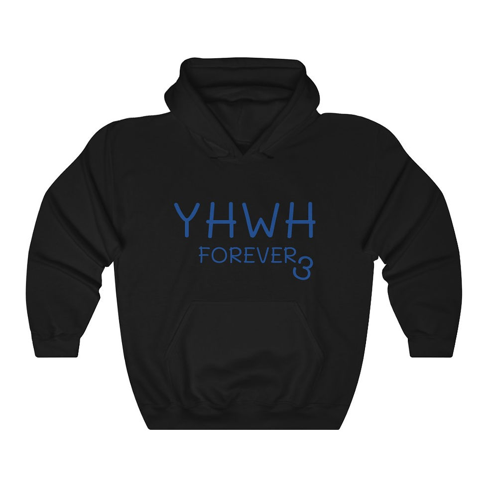 Thumbnail: YF3 YHWH FOREVER Unisex Heavy Blend™ Hooded Sweatshirt