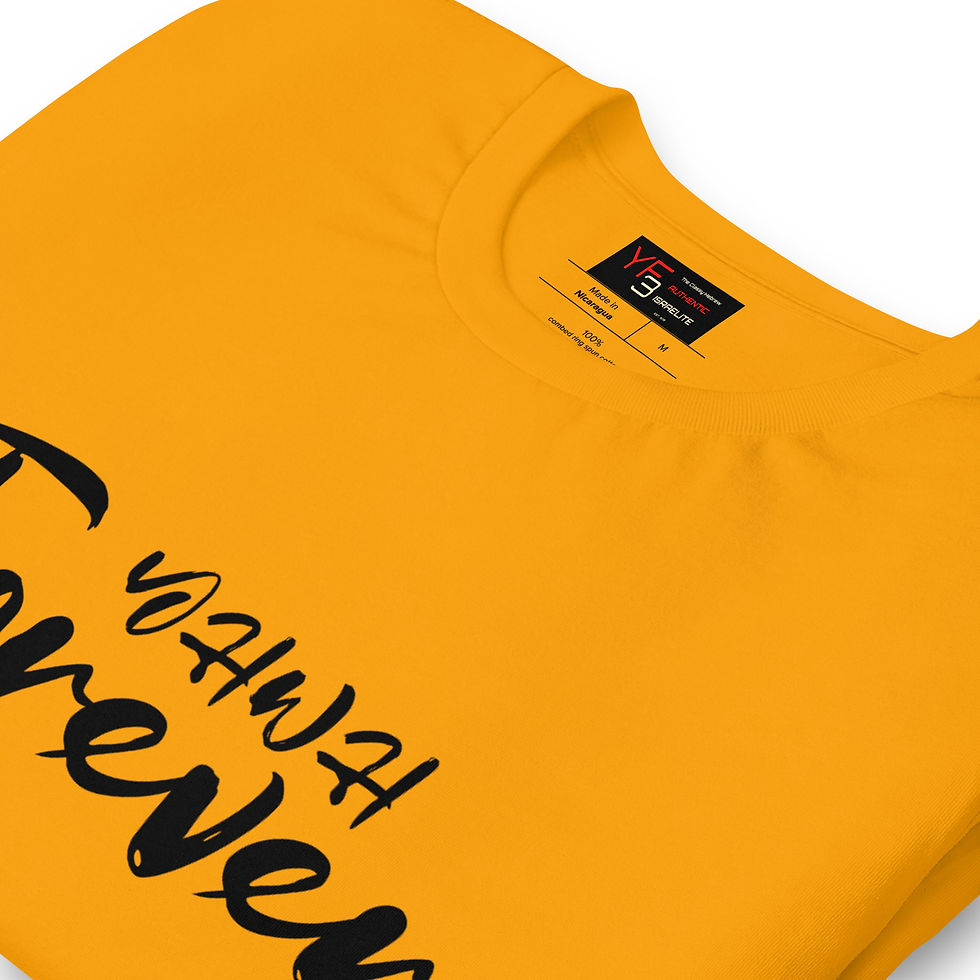 Thumbnail: YF3 YHWH FOREVER 3 Unisex t-shirt