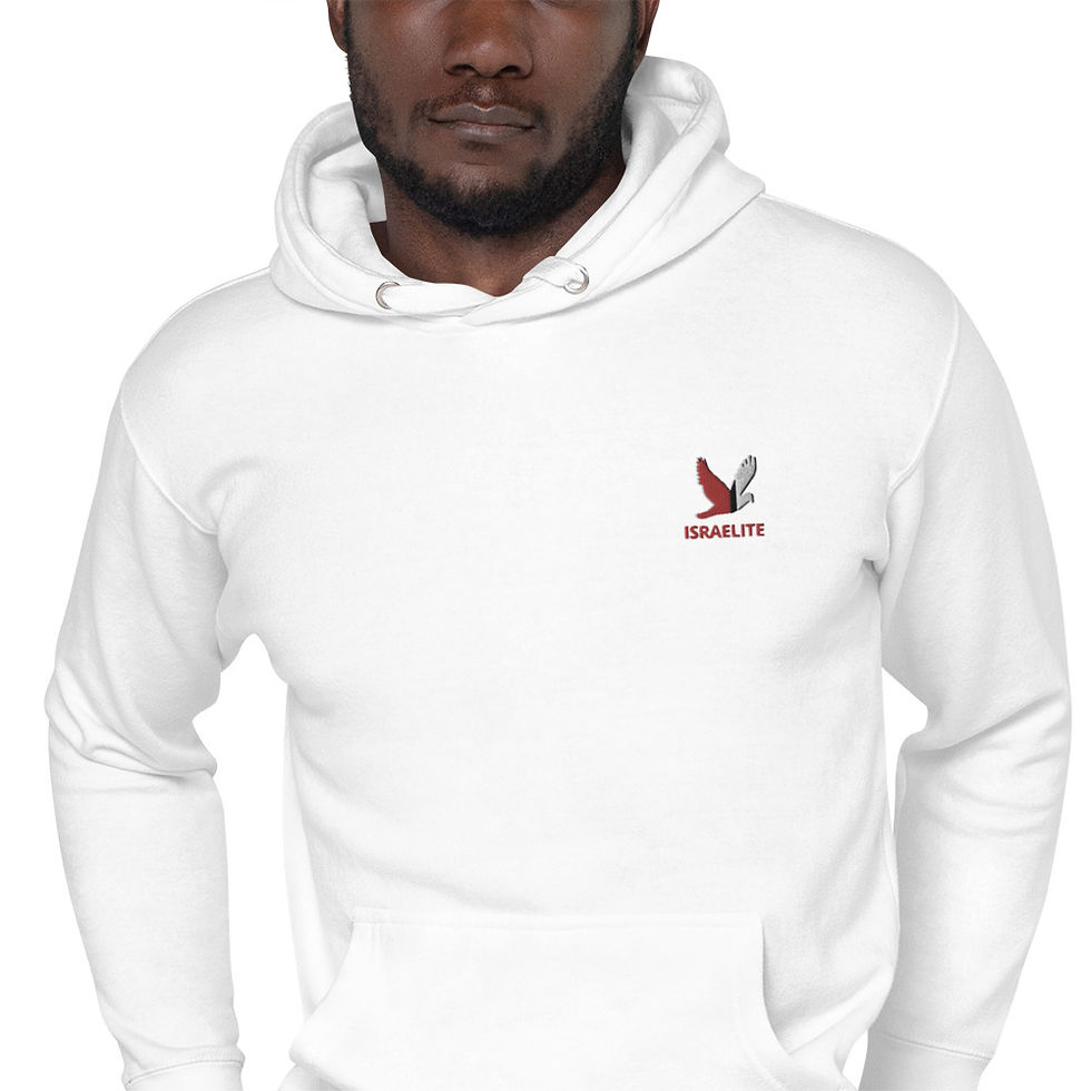 Thumbnail: YF3 The Classy Hebrew Israelite Logo Unisex Hoodie
