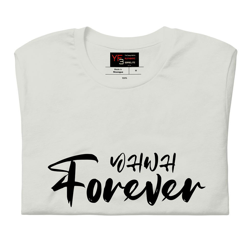 Thumbnail: YF3 YHWH FOREVER 3 Unisex t-shirt