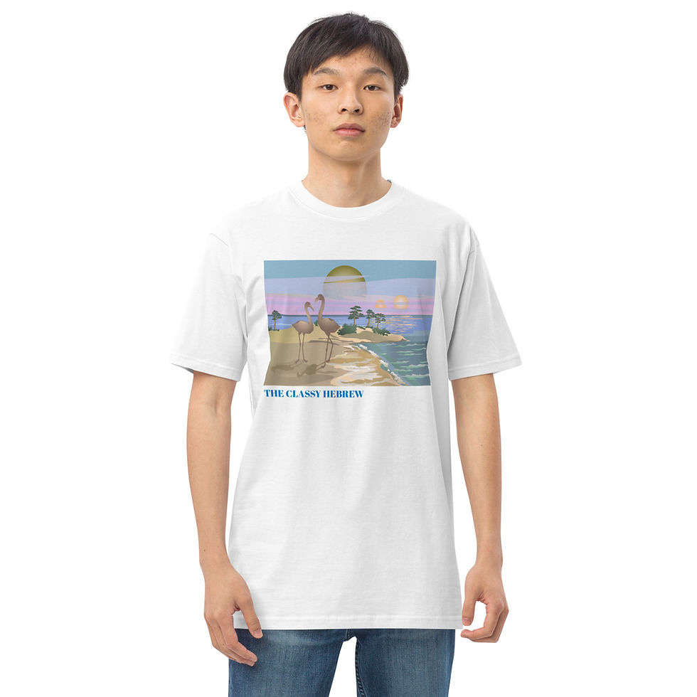 Thumbnail: YF3 The Classy Hebrew Men’s premium heavyweight tee