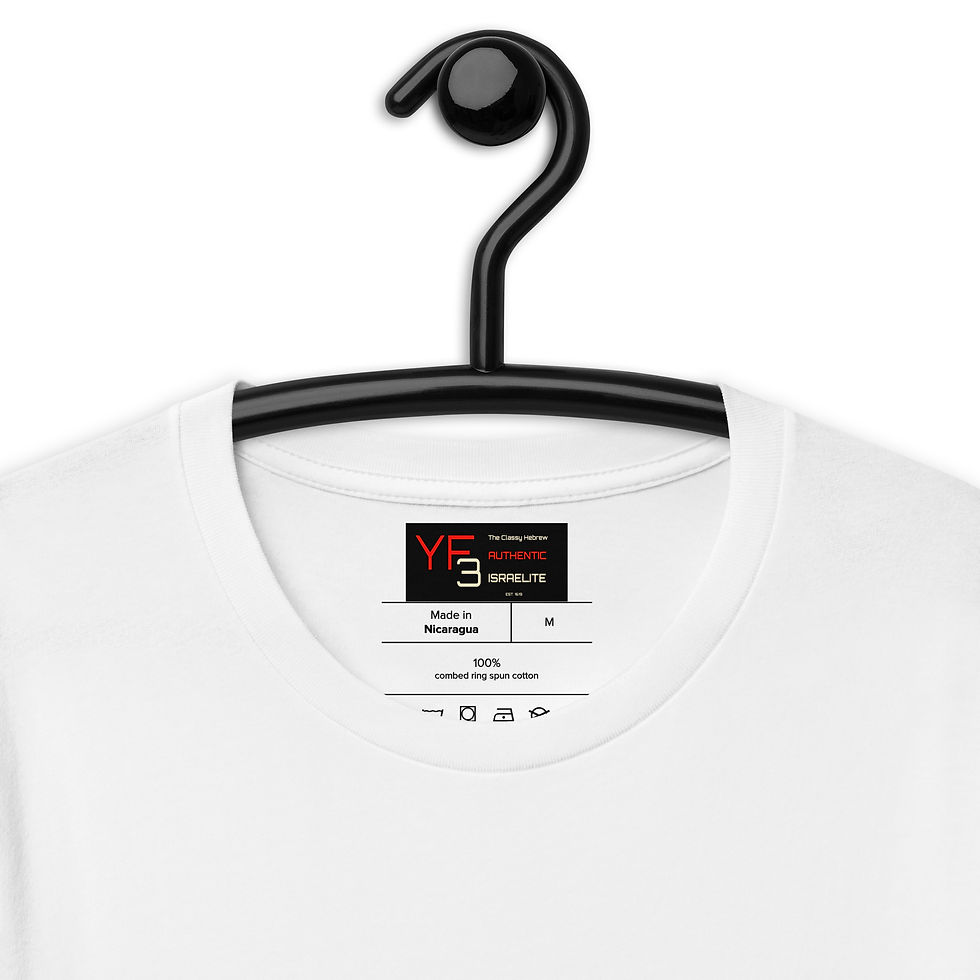 Thumbnail: YF3 Born Again YP Unisex t-shirt