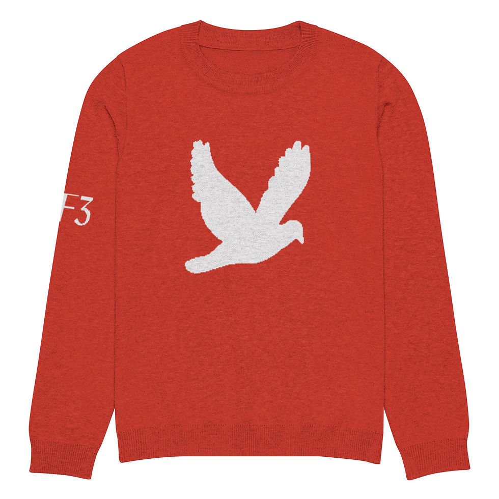 Thumbnail: YF3 YHWH FOREVER Dove Logo Red Knitted crew neck sweater