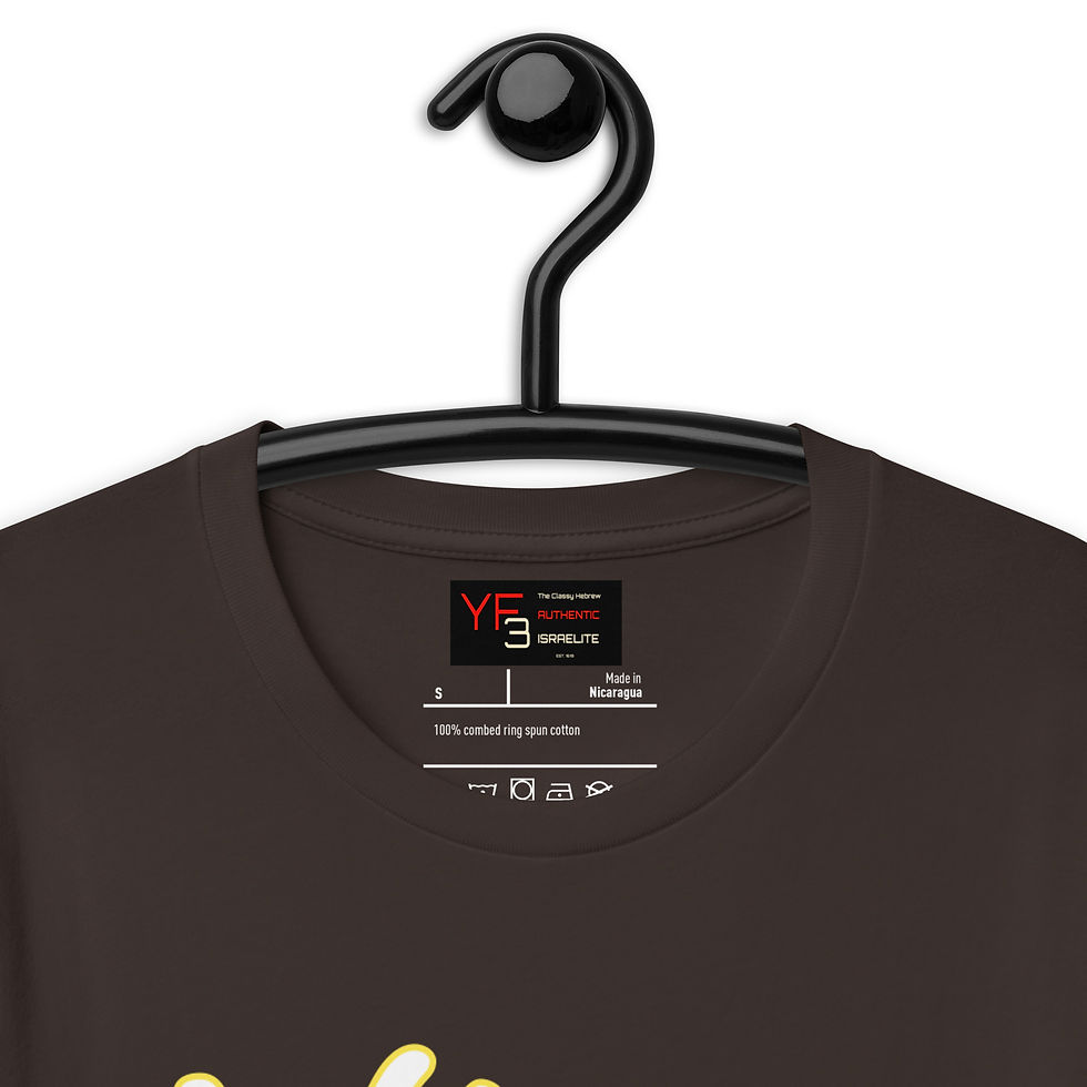 Thumbnail: YF3 The Classy Hebrew Whom Shall I Fear Psalms 27 Unisex t-shirt