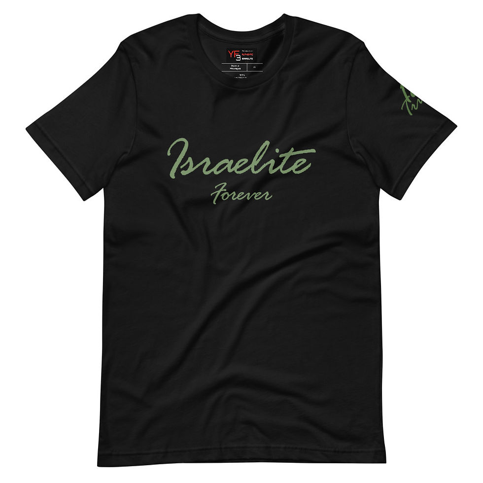 Thumbnail: YF3 Israelite Forever 12 Tribes Unisex t-shirt
