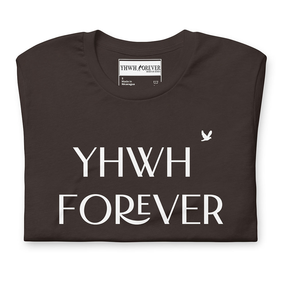 Thumbnail: YHWH FOREVER 3 YHWH FOREVER Logo Unisex t-shirt