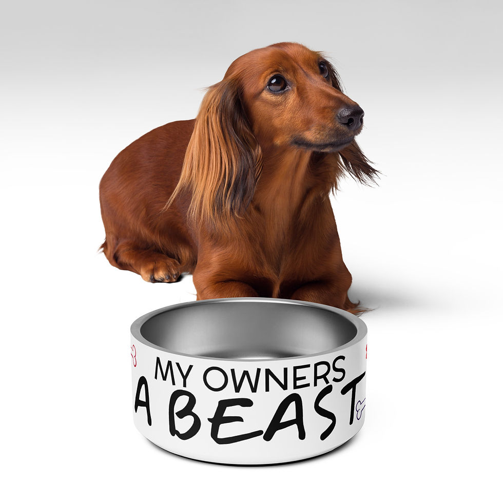 Thumbnail: YF3 The Classy Hebrew My Owners A Beast Pet bowl