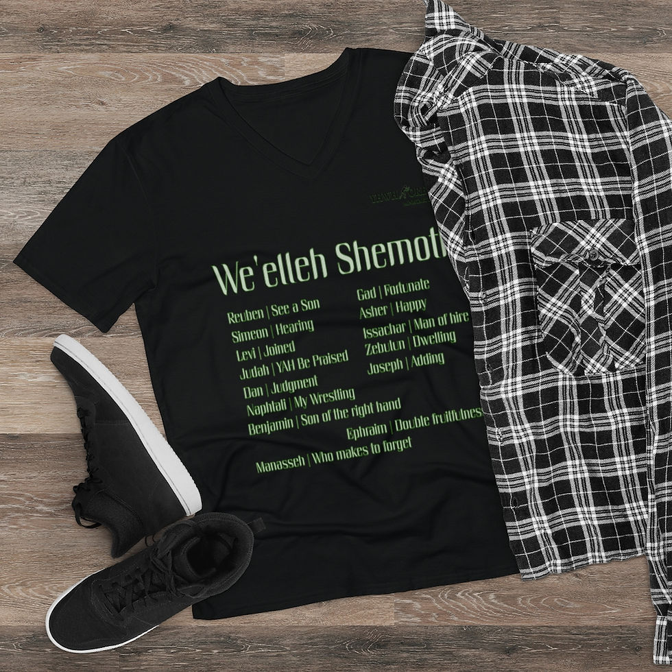 Thumbnail: YHWH FOREVER These are the names Men's Lightweight V-Neck Tee
