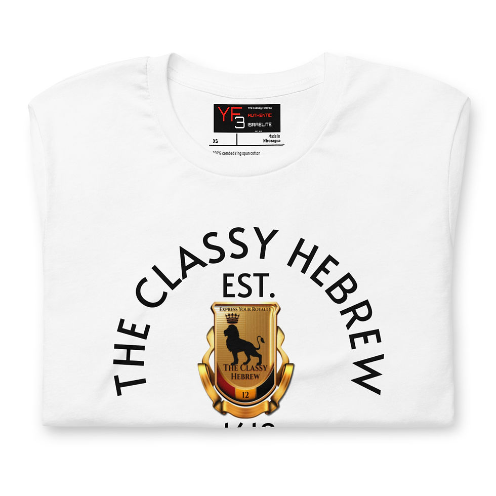 Thumbnail: YF3 The Classy Hebrew Unisex t-shirt