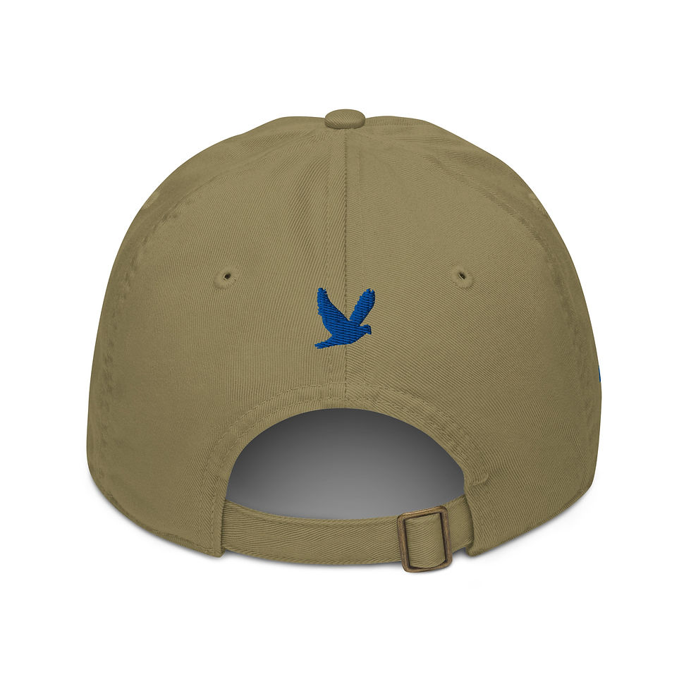 Thumbnail: YHWH FOREVER 3 Emboridered YHWH FOREVER Organic dad hat