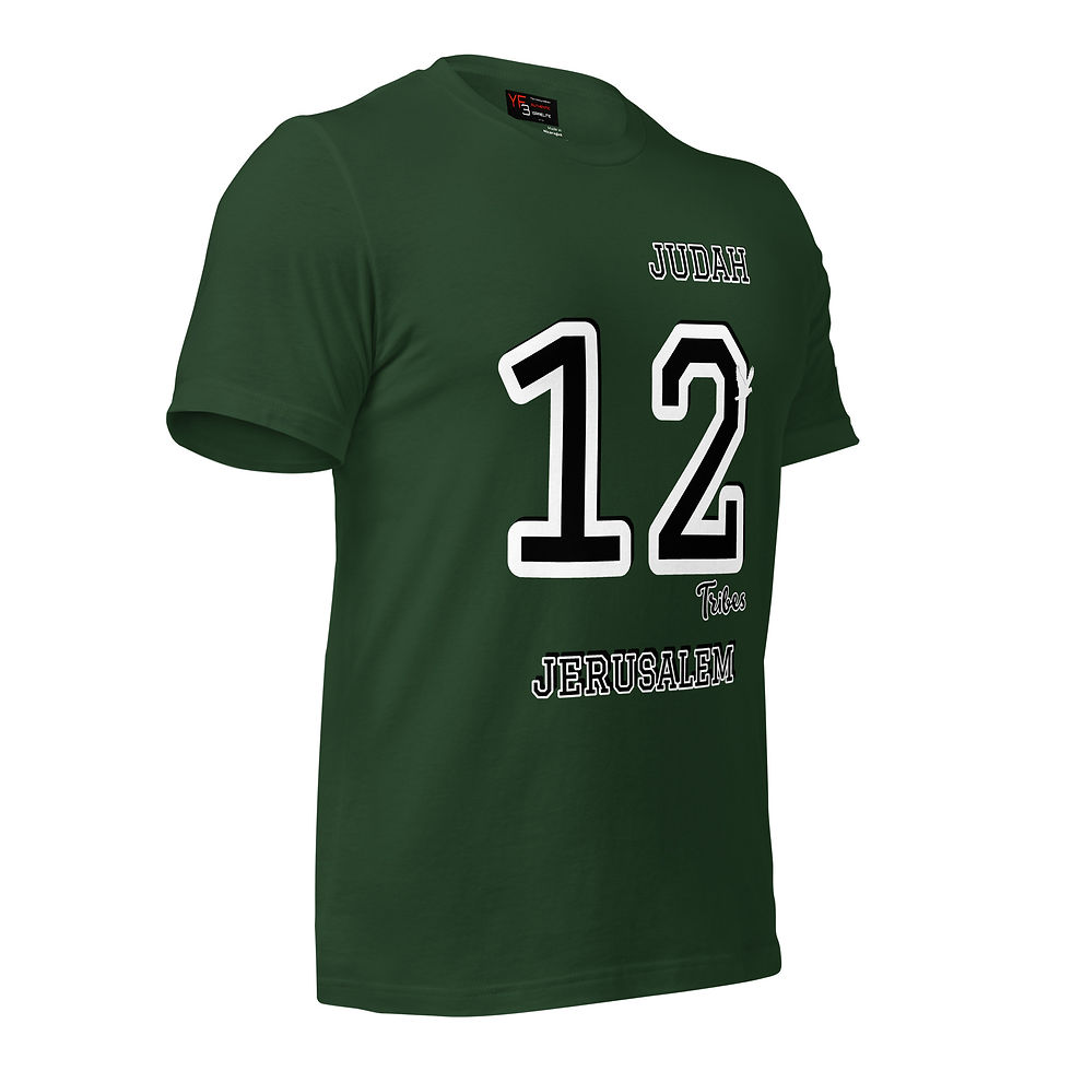 Thumbnail: YF3 The Classy Hebrew 12 Tribes Unisex t-shirt