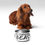 Thumbnail: YF3 The Classy Hebrew My Owners A Beast Pet bowl