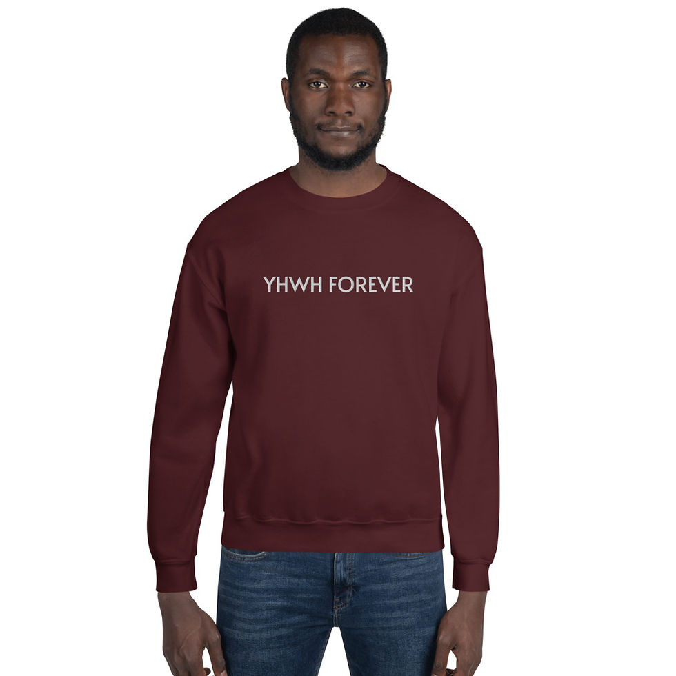 Thumbnail: YF3 YHWH FOREVER Embroidered Unisex Sweatshirt