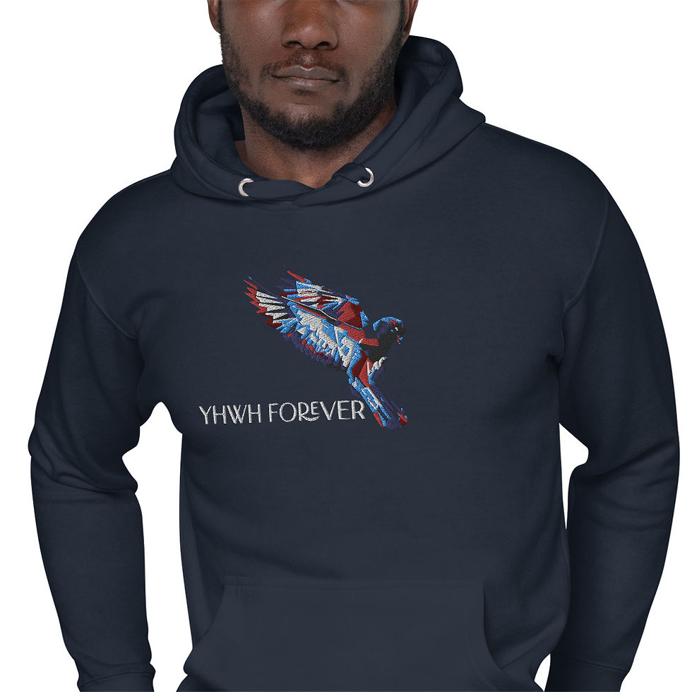 Thumbnail: YHWH FOREVER Embroidered Abstract Dove Logo Unisex Hoodie